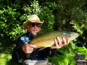 Footage courtesy of www.acejourneys.co.nz