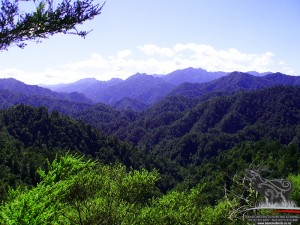 Footage courtesy of www.basicjourneys.co.nz