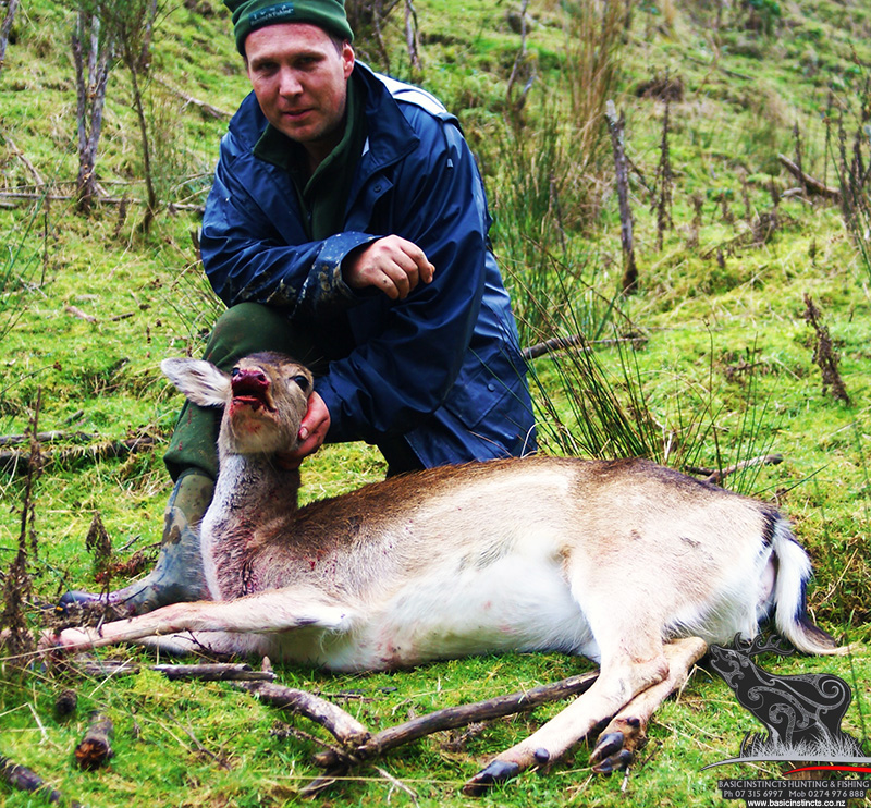 Book your Basic Instincts Hunt package with www.basicinstincts.co.nz